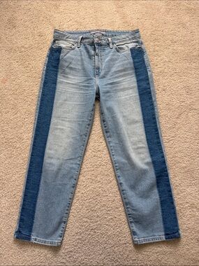 Joe's Jeans Light Blue Two-Tone Straight Leg with Dark Blue Side Panels- Size 31